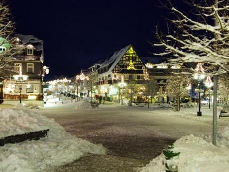 Stadtwohnung Schneeflocke Winterberg Zewnętrze zdjęcie